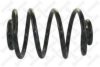 GM 71843706 Coil Spring